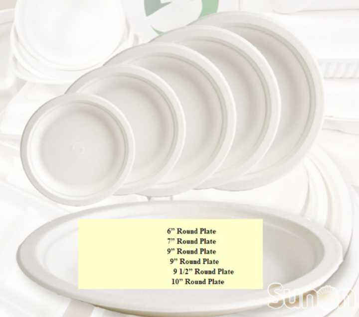 Bagasse Plates (Compostable Disposables)